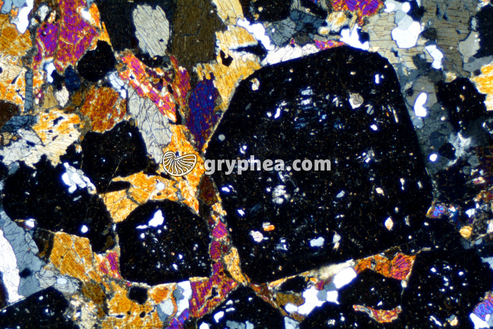 Eclogite LPA x6,3 - gryphea.org